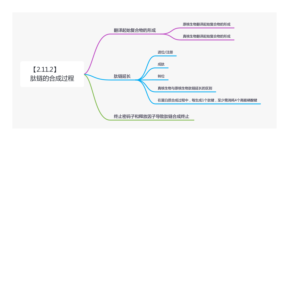 【221205】思维导图-肽链的合成过程 .pdf_第1页