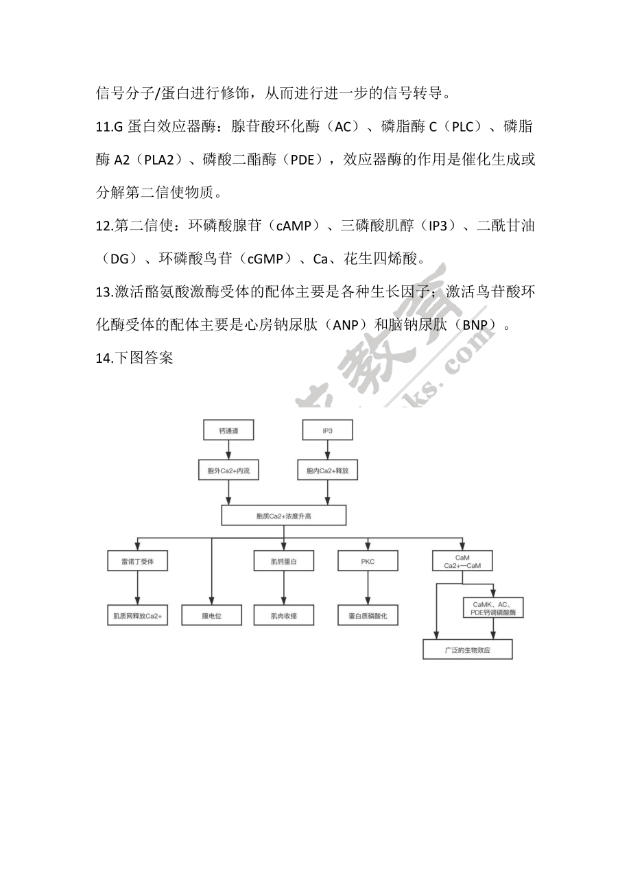 【221020】生理学第2天带读课后作业-答案 .pdf_第2页