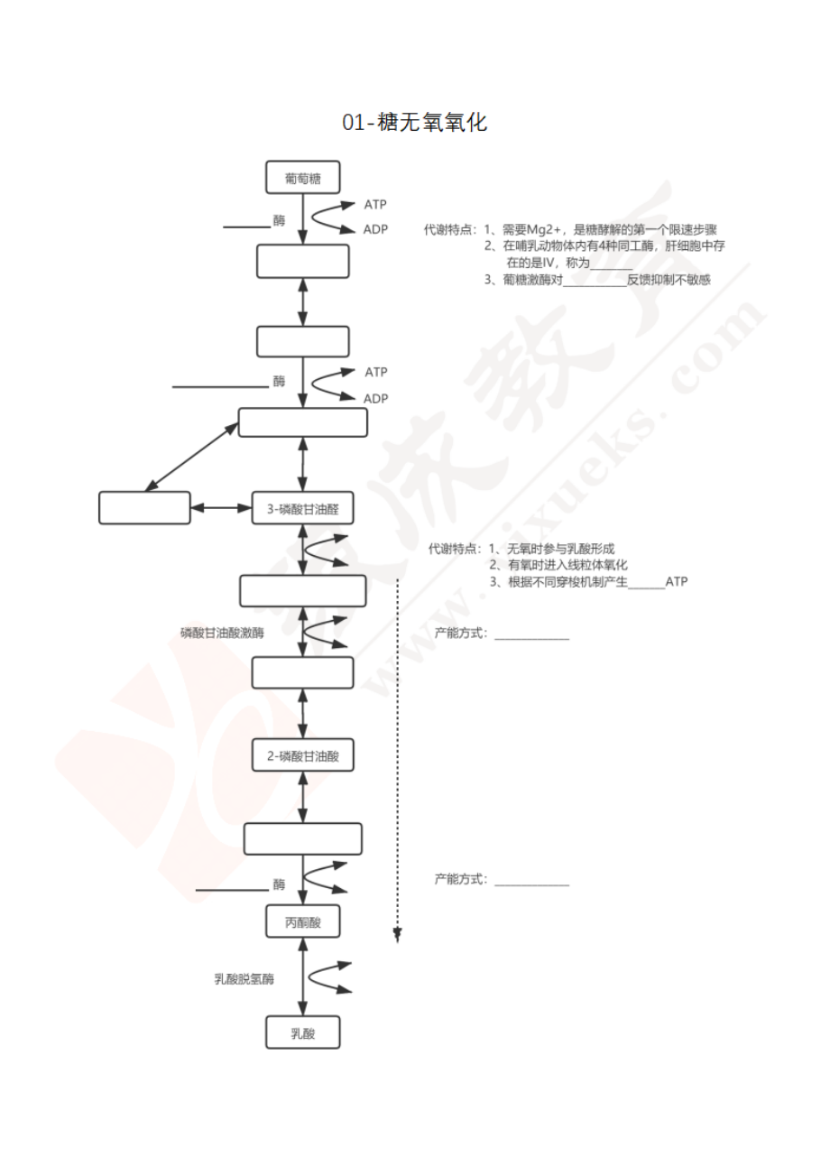 【221205】生化代谢图-完整版 .pdf_第1页