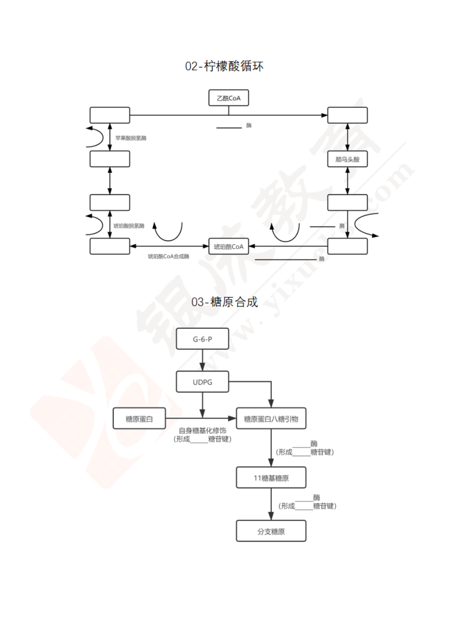 【221205】生化代谢图-完整版 .pdf_第2页