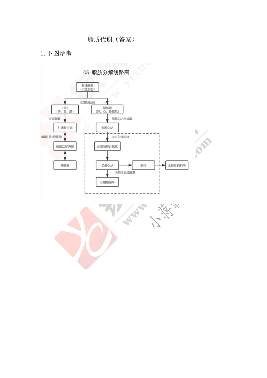 【221128】生物化学第5次带读课作业-答案 .pdf_第1页