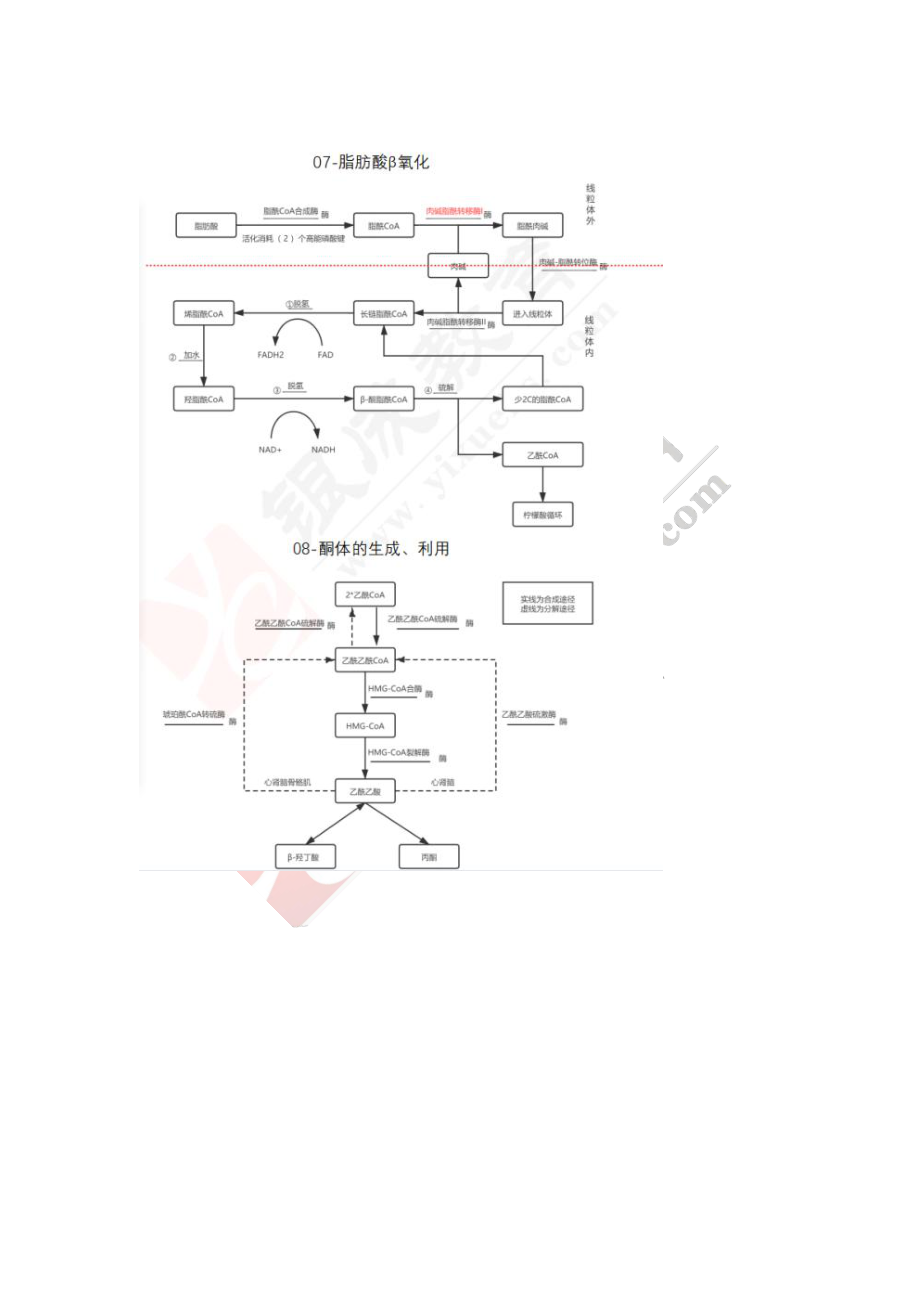 【221128】生物化学第5次带读课作业-答案 .pdf_第3页