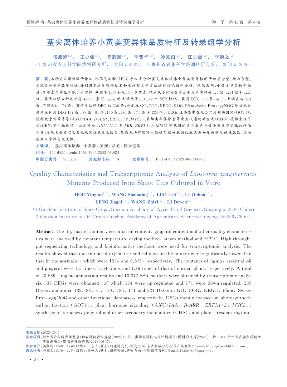 茎尖离体培养小黄姜变异株品质特征及转录组学分析.pdf_第1页