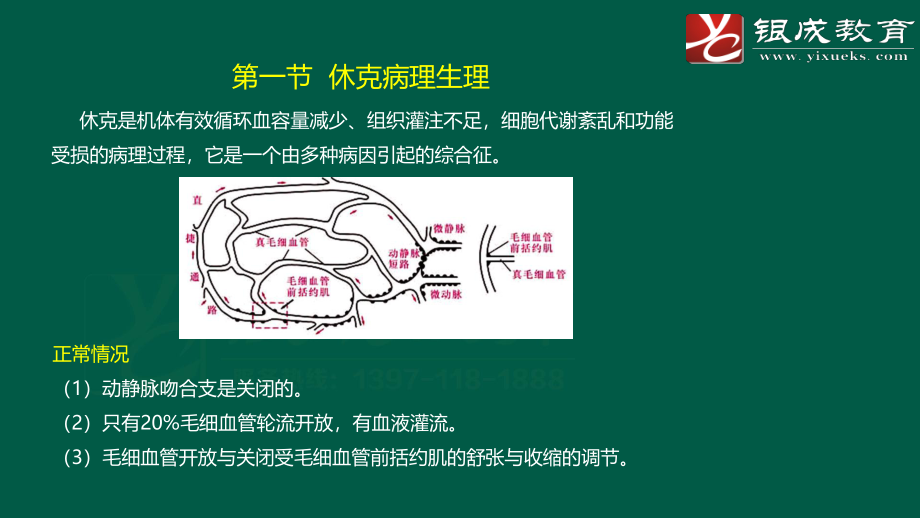 【231106】外科学强化轮第2次课件（总论二） .pdf_第3页