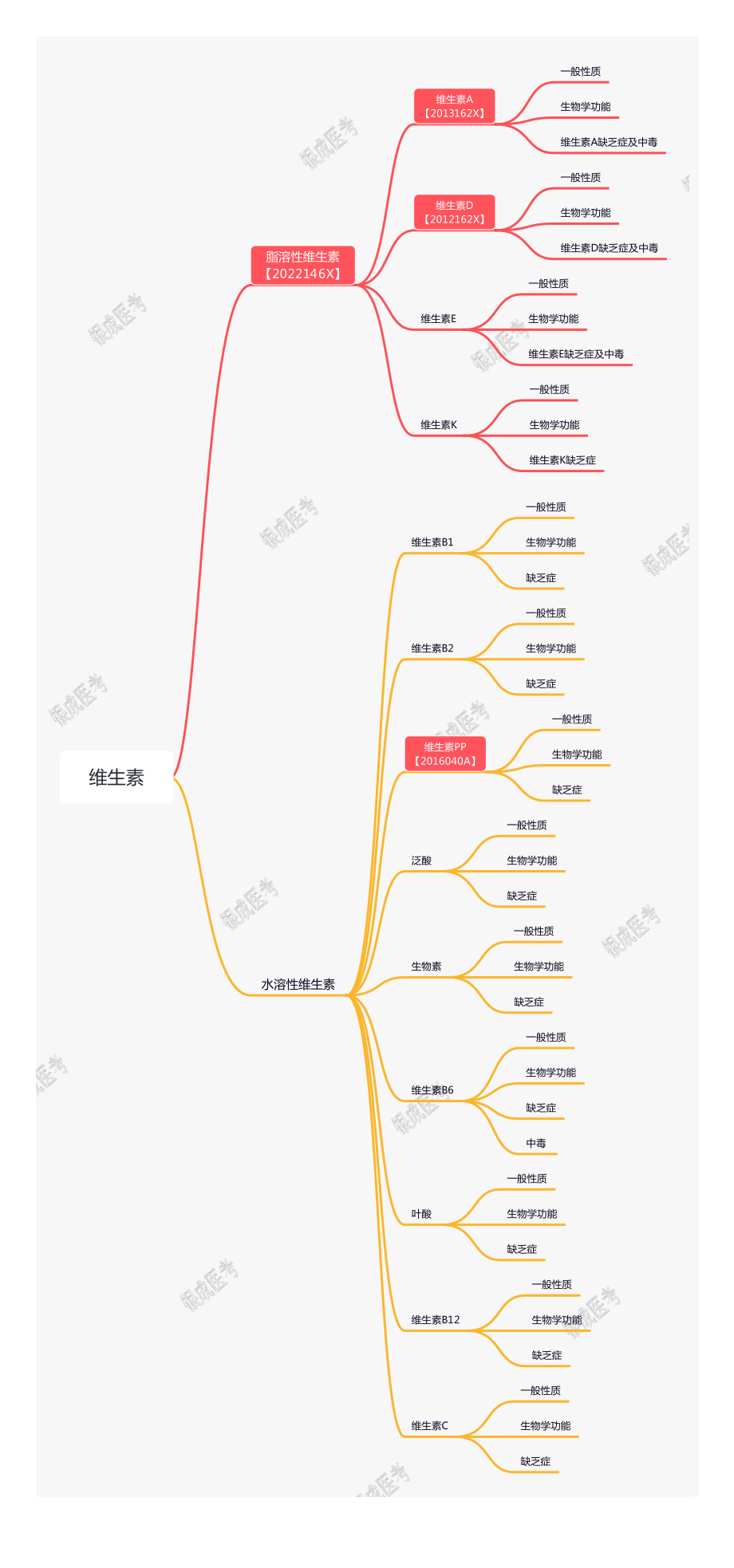 【221201】思维导图-维生素 .pdf_第1页