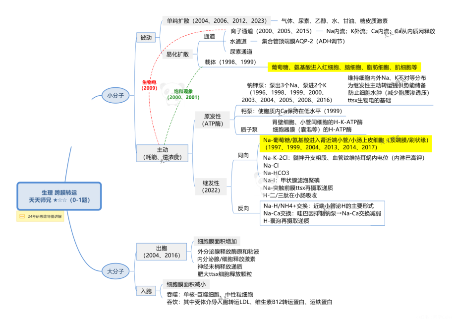 2024天天师兄生理 思维导图无水印打印版本 汇总.pdf_第2页