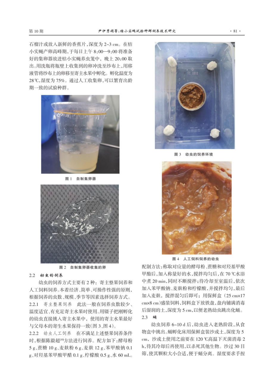 桔小实蝇试验种群饲养技术研究.pdf_第3页