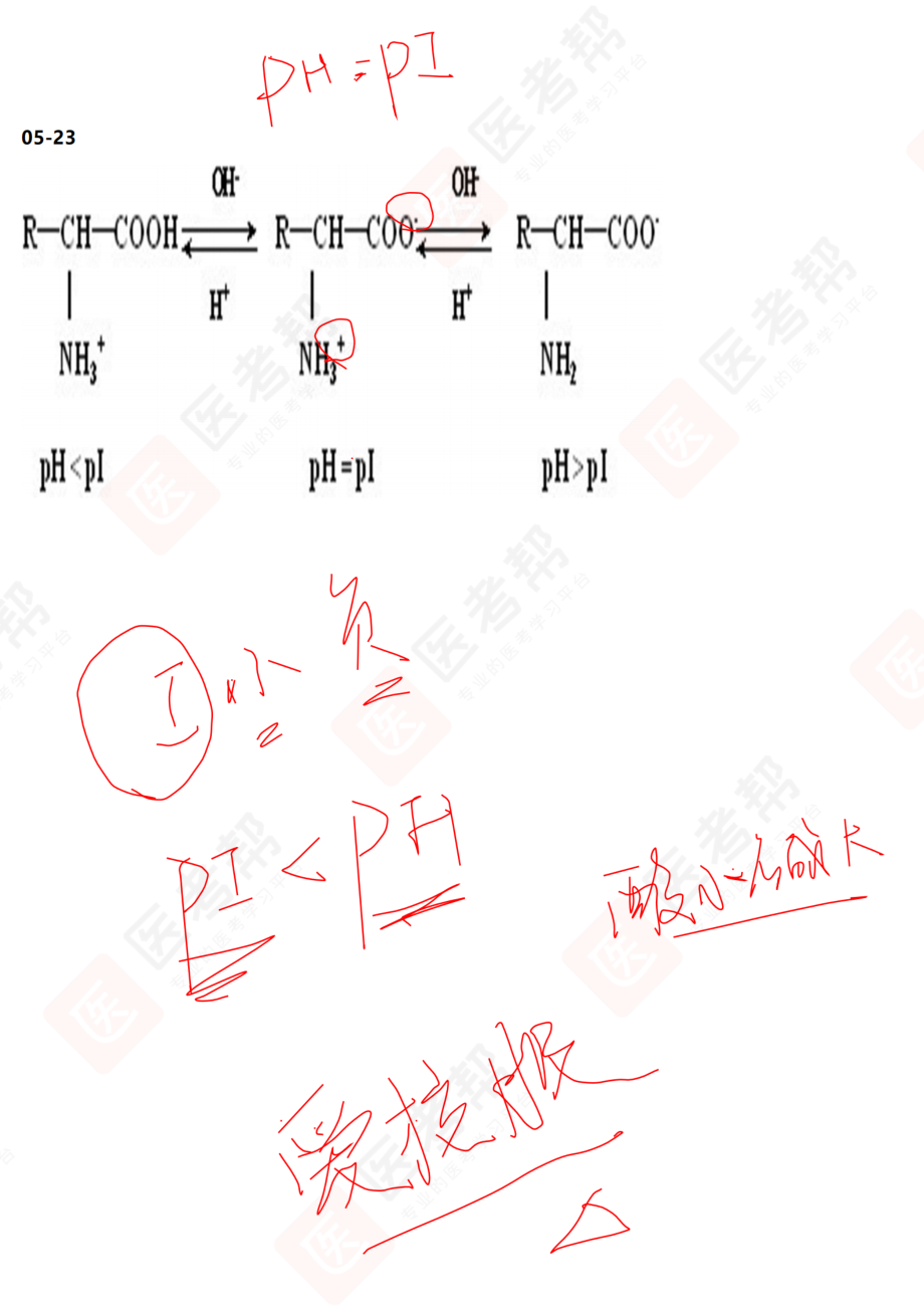 04-08真题带刷.pdf_第3页