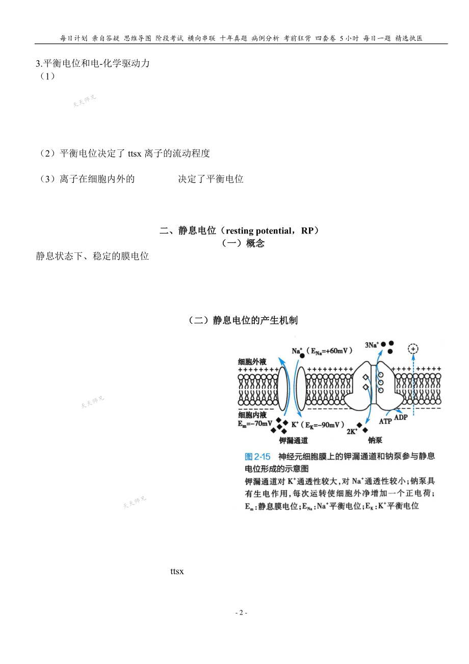 填空式讲义：生理 细胞电活动 核心-导图-真题-串联 天天师兄24考研 冲.pdf_第2页