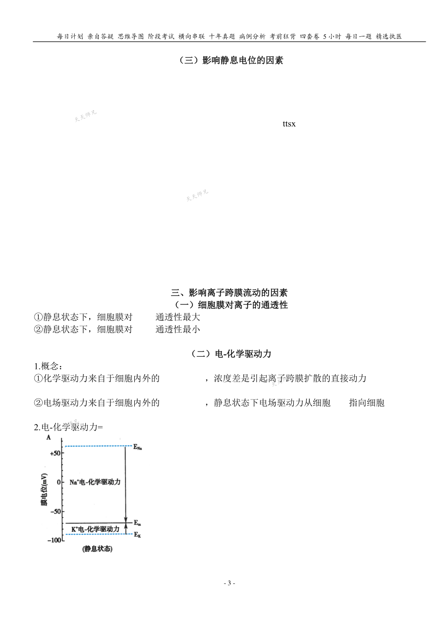 填空式讲义：生理 细胞电活动 核心-导图-真题-串联 天天师兄24考研 冲.pdf_第3页