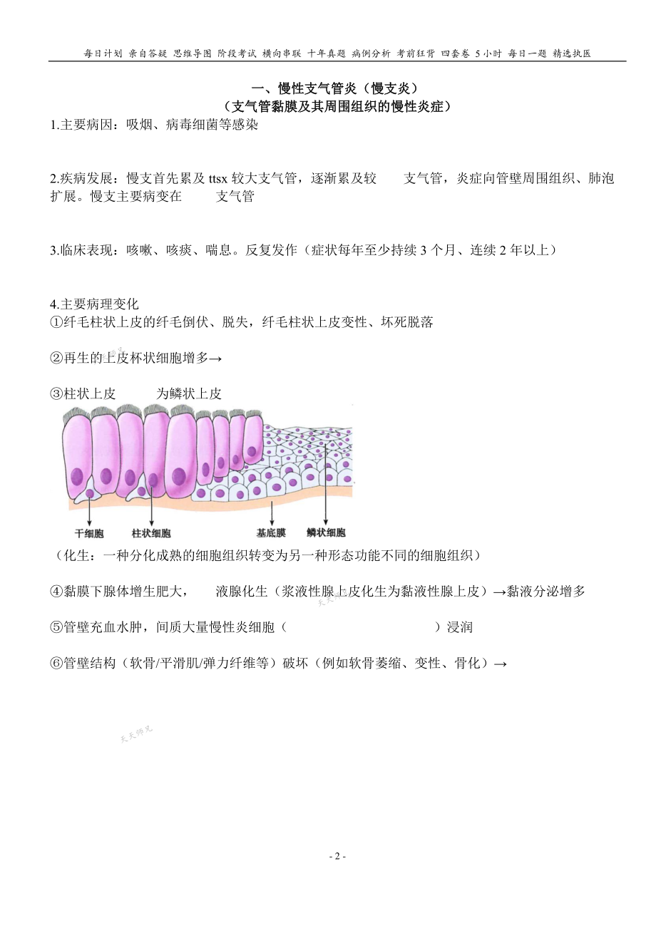 填空式讲义：病理 慢支炎、肺气肿、肺心病 核心-导图-真题-串联 天天师兄24考研 冲.pdf_第2页