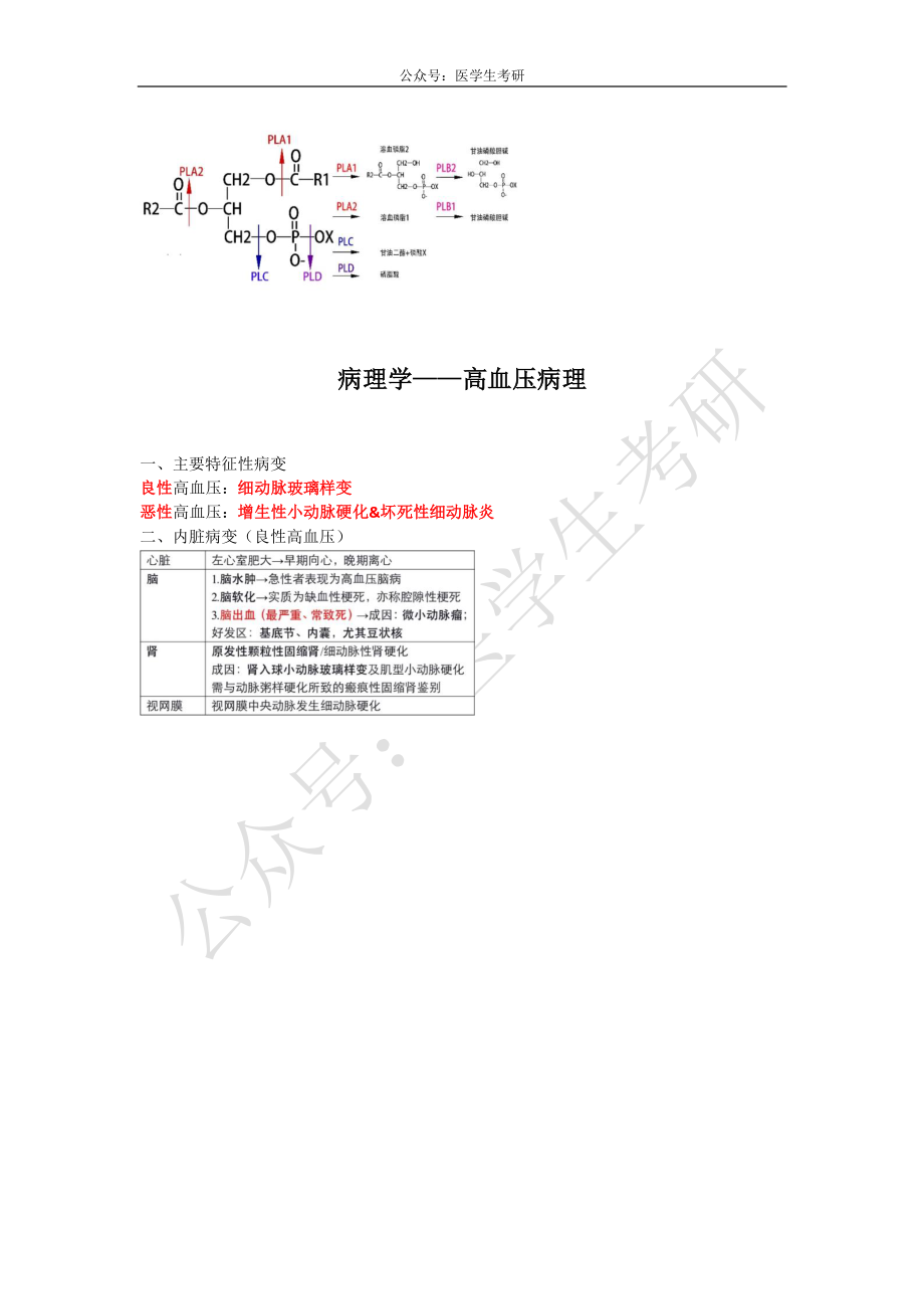 肺通气功能评价&磷脂代谢&高血压病理.pdf_第2页