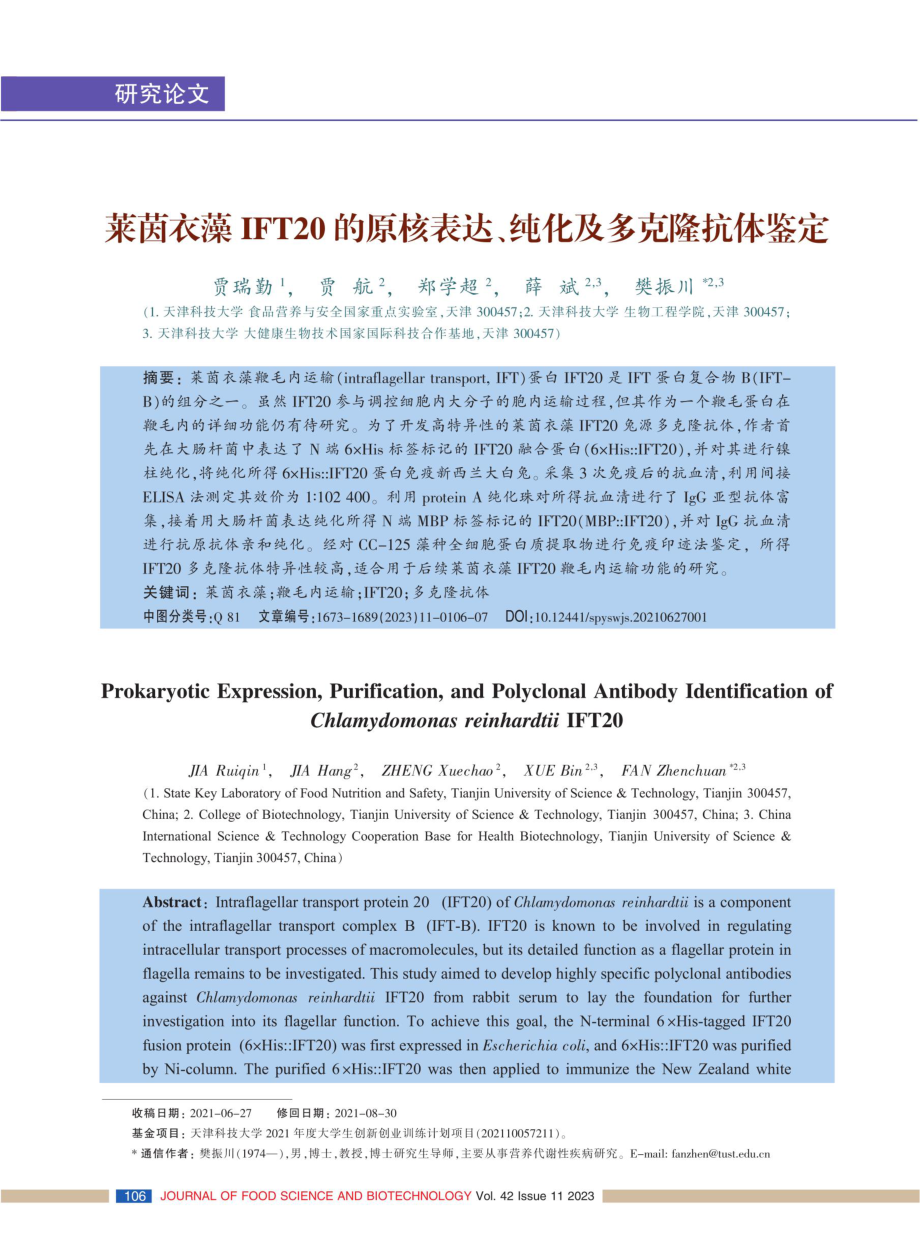 莱茵衣藻IFT20的原核表达、纯化及多克隆抗体鉴定.pdf_第1页