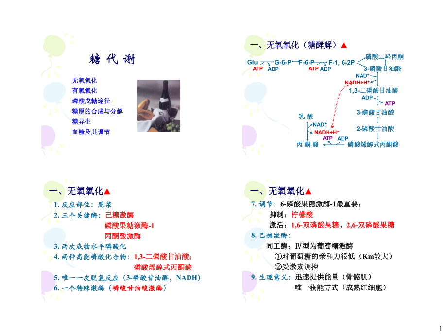 生化冲刺讲义-4.pdf_第1页