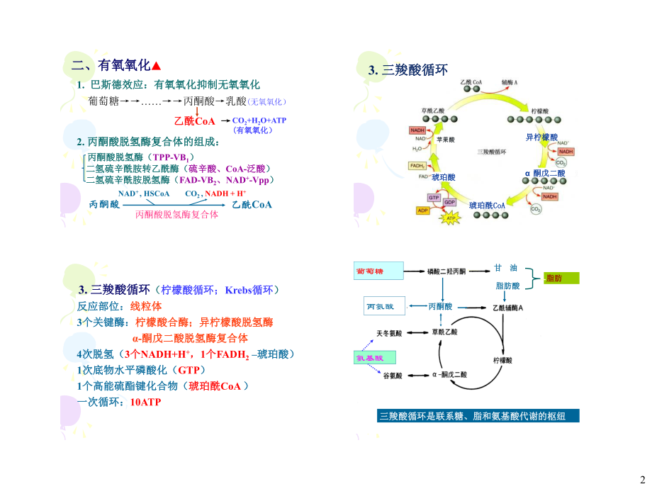 生化冲刺讲义-4.pdf_第2页