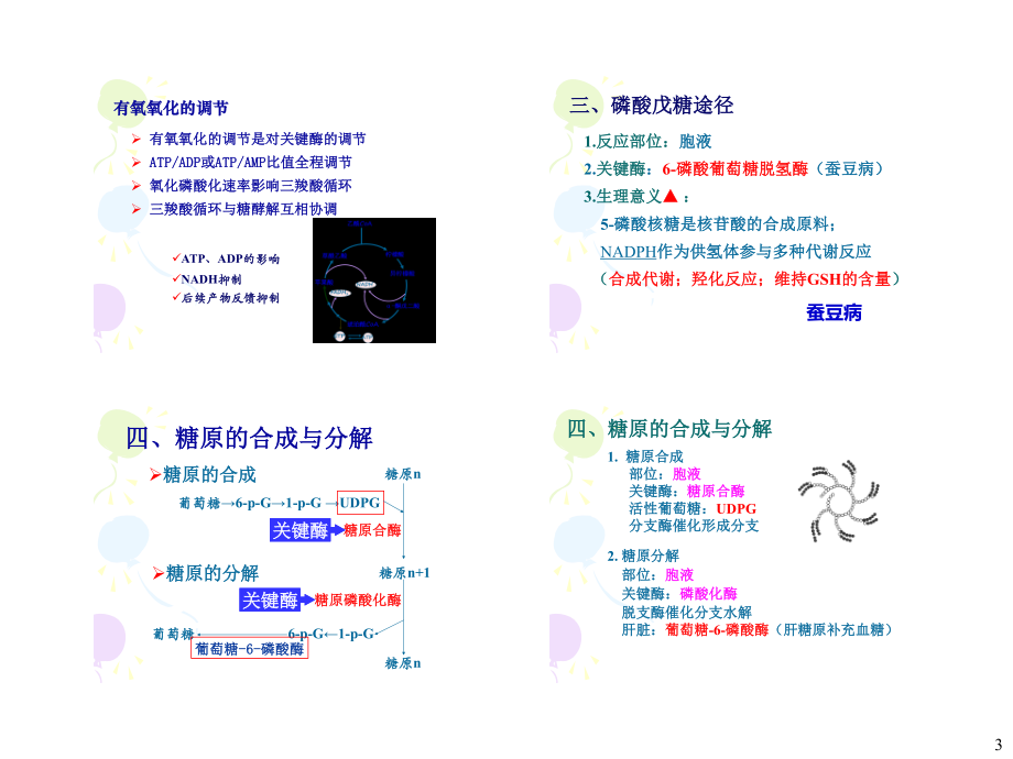 生化冲刺讲义-4.pdf_第3页