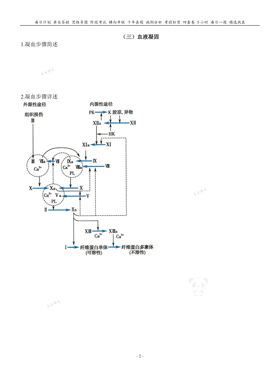 填空式讲义：生理 生理性止血 核心-导图-真题-串联 天天师兄24考研 冲.pdf_第2页