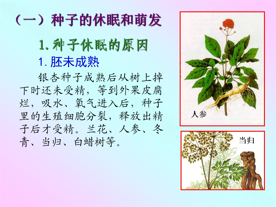 十一、植物的休眠、成熟和衰老生理.PPT_第1页