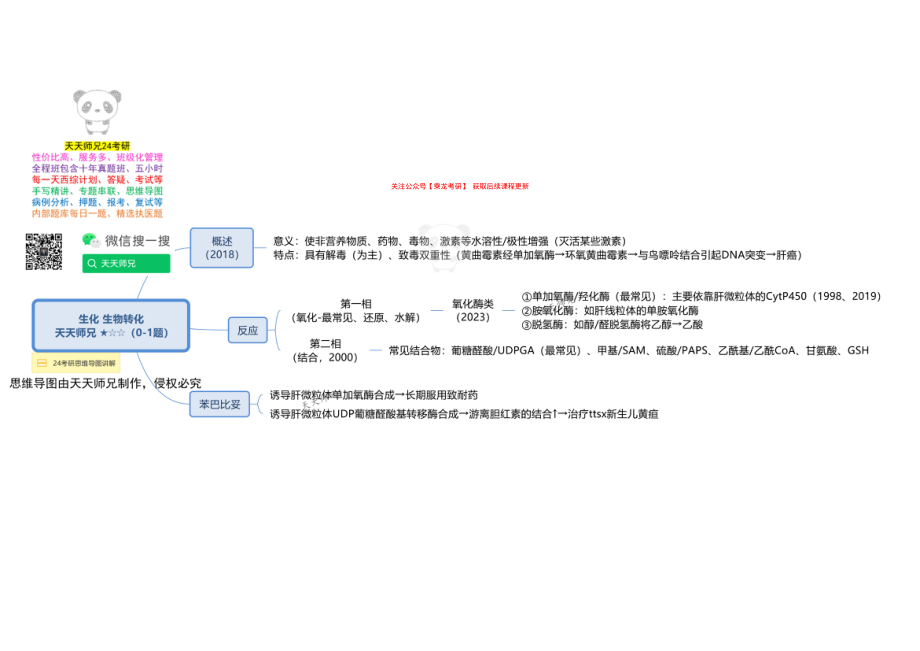 生化 生物转化 思维导图.pdf_第1页