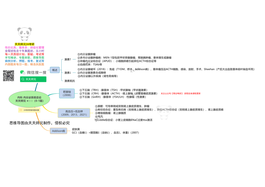 内科 内分泌系统总论 思维导图.pdf_第1页