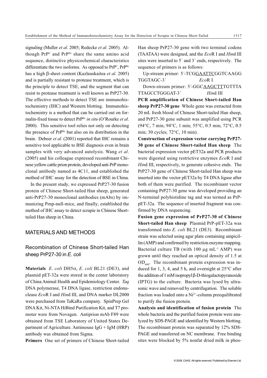 Establishment of the Method of IHC Assay for the Detection of Scrapie(1).pdf_第2页