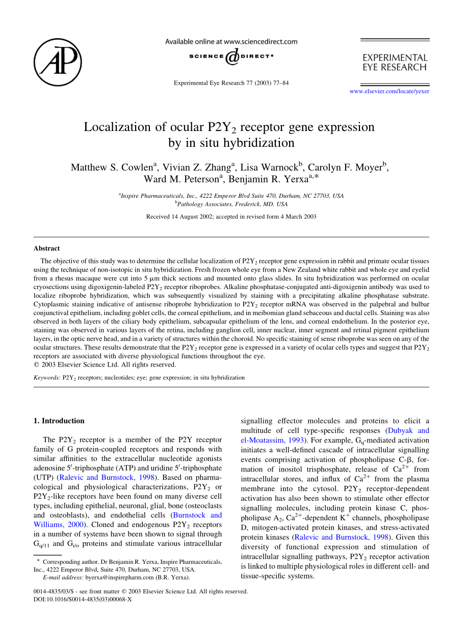 Localization of ocular P2Y2 receptor gene expression by in situ(1).pdf_第1页