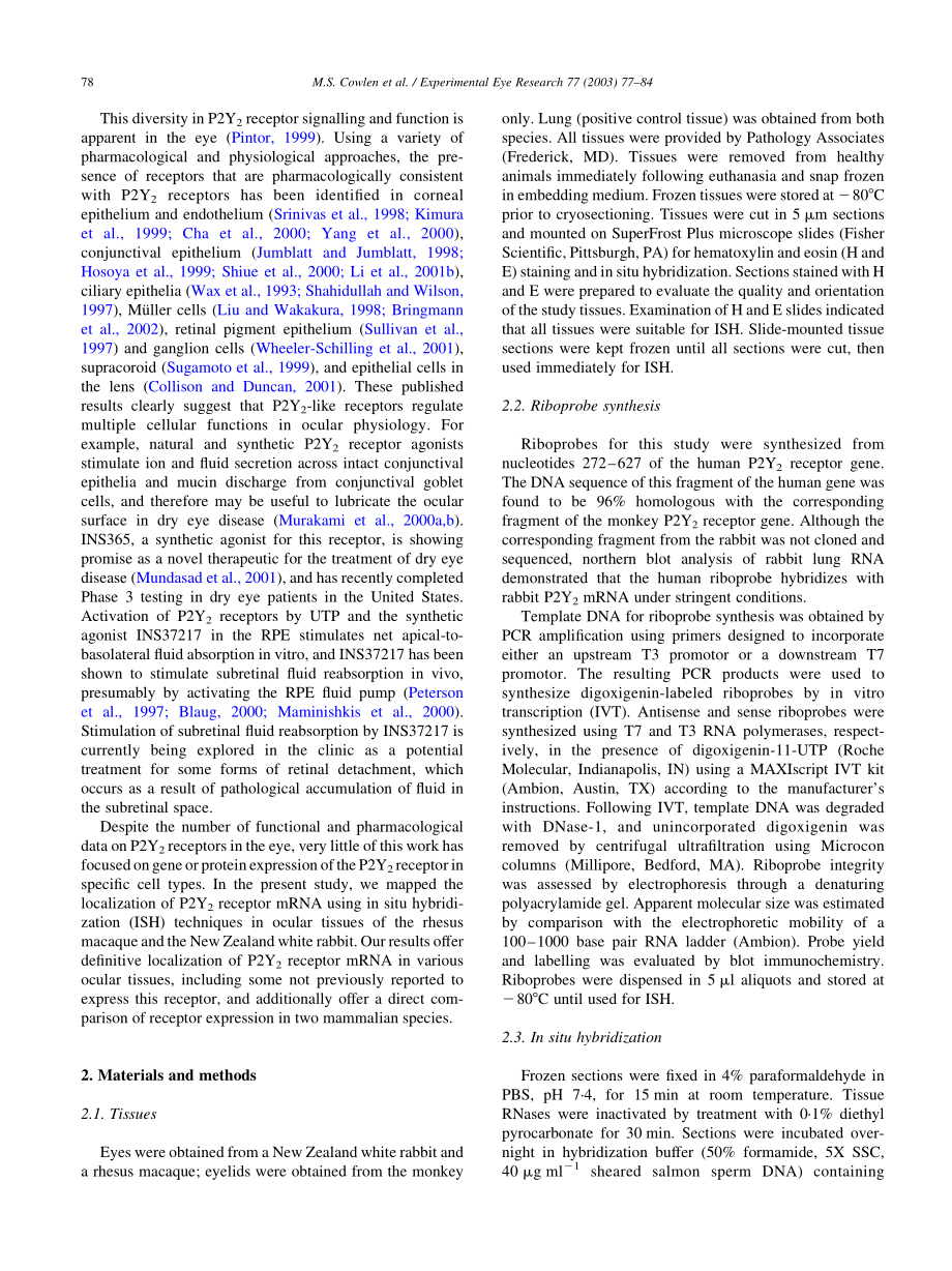 Localization of ocular P2Y2 receptor gene expression by in situ(1).pdf_第2页